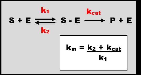Figure 1 Non-linear PK