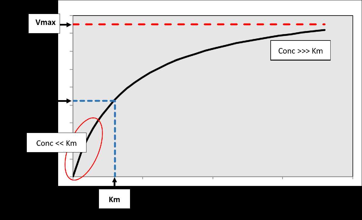 Figure 2 Non-linear PK